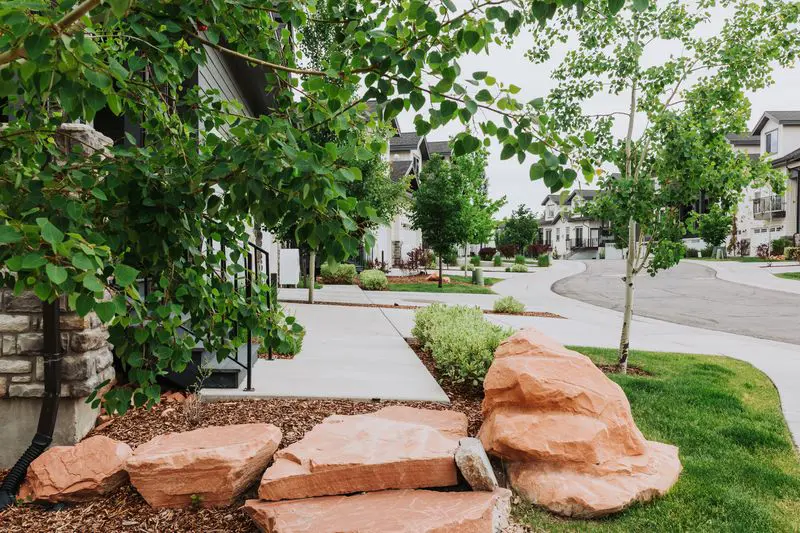 Hydroseeding and grass seed lawn installation