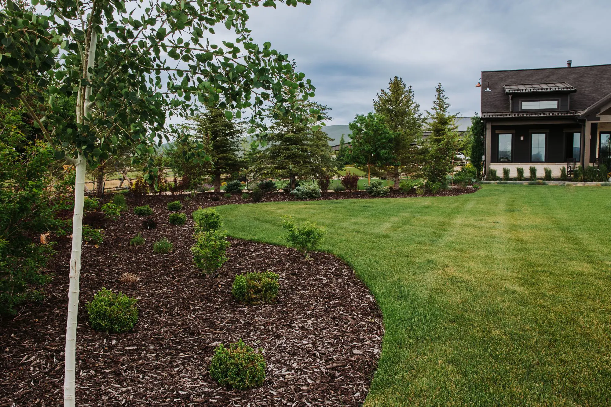 Summit County landscape installation planning