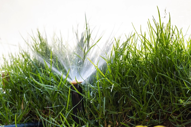 Sprinkler Services Summit County, UT